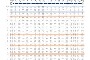 Cambios en los Cercanías de Valencia tras las Fallas: nuevos horarios y transporte alternativo en varias líneas - (foto 3)