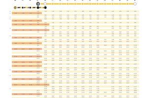 Cambios en los Cercanías de Valencia tras las Fallas: nuevos horarios y transporte alternativo en varias líneas - (foto 10)