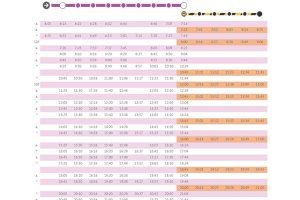 Cambios en los Cercanías de Valencia tras las Fallas: nuevos horarios y transporte alternativo en varias líneas - (foto 9)