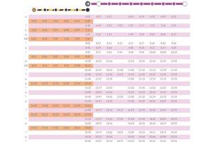Cambios en los Cercanías de Valencia tras las Fallas: nuevos horarios y transporte alternativo en varias líneas - (foto 8)