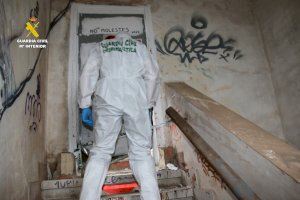 Detenen a Paterna, Burjassot i Benicarló als implicats en l'assassinat de Djinn Maury en un edifici abandonat de Sagunt - (foto 2)