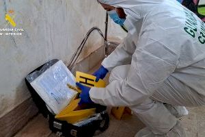 Detenen a Paterna, Burjassot i Benicarló als implicats en l'assassinat de Djinn Maury en un edifici abandonat de Sagunt - (foto 5)