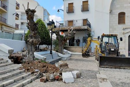 L'Empresa Pública trasplanta les moreres de la Plaça del Convent a un entorn més favorable per a garantir la seua supervivència