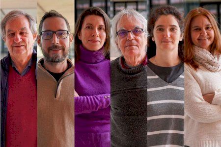 El Instituto de Ciencia Molecular desarrolla nuevos compuestos antifúngicos contra patógenos prioritarios de la OMS