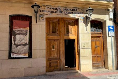 El Consell Agrari de Sueca impulsa el empleo público con la apertura de dos nuevos procesos selectivos