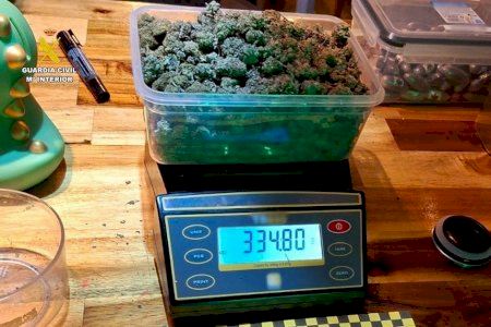 Nova colp contra les associacions cannábicas a la província d'Alacant: 6 detinguts i dos menors implicats