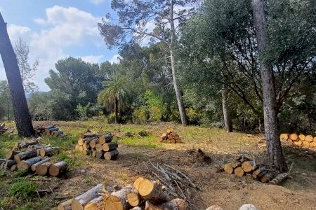 Oliva reforça la prevenció d’incendis abans de Pasqua amb noves faixes perimetrals en zones clau