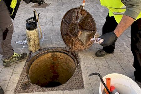 Alaquàs reforça el control de plagues amb actuacions setmanals contra rosegadors i paneroles