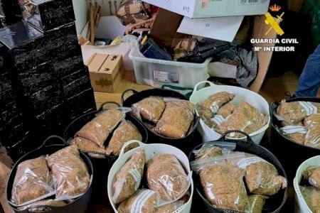 Golpe en Valencia: destapan una red que envió más de 430 kilos de tabaco ilegal por toda España