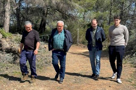 Oropesa es protegeix davant el foc: actuacions en tres zones clau per a evitar incendis Oropesa es protegeix davant el foc: actuacions en tres zones clau per a evitar incendis