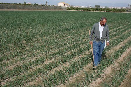 “Es injustificable”: agricultores valencianos alertan de que se quedan fuera de las ayudas por las trabas burocráticas
