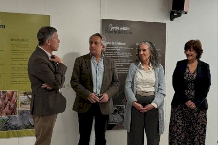La Fundació Universitària L’Alcúdia inaugura l'exposició “Jardí artístic Hort del Capellà”