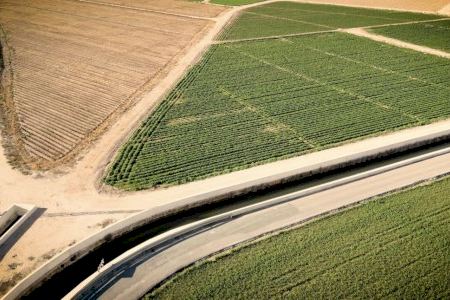 La Generalitat reorganitza el camp a Oliva i Pego per acabar amb el minifundi i millorar la rendibilitat agrària