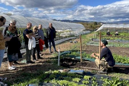 La Vall d’Uixó abre la selección de un docente en agricultura ecológica para impulsar el empleo