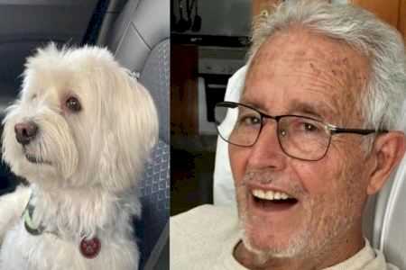 Sigue la búsqueda de Diego y su perro Pol en el interior de la provincia de Valencia Sigue la búsqueda de Diego y su perro Pol en el interior de la provincia de Valencia