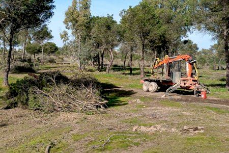 De restos de poda a combustible para aviones y coches: la impresionante transformación que nace desde las montañas valencianas