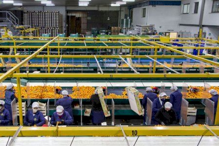 Las cooperativas valencianas crean más de 63.000 empleos y ya mueven casi 10.000 millones
