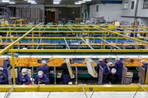 Las cooperativas valencianas crean más de 63.000 empleos y ya mueven casi 10.000 millones