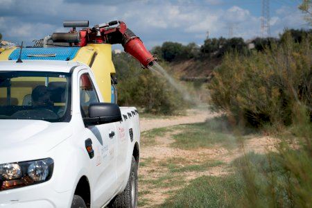 Almassora refuerza el servicio de control de mosquitos con un nuevo contrato que duplica las jornadas de actuación