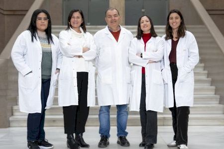 Incliva y la Universitat de València investigan nuevas estrategias terapéuticas para tratar la hipertensión arterial y enfermedades renales