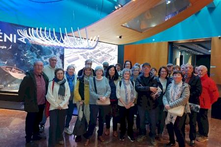 La exposición “Dénia. Arqueología y Museo” se despide del MARQ con la visita de 33.406 personas