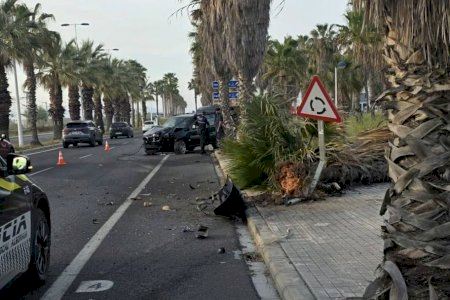 Ferit després d'eixir-se de la via a Alboraia per una avaria i acabar encastat al costat d'una palmera Ferit després d'eixir-se de la via a Alboraia per una avaria i acabar encastat al costat d'una palmera