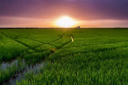 Primavera en Valencia: por qué la luz natural ayuda a la vista y cómo proteger los ojos del aumento de radiación UV