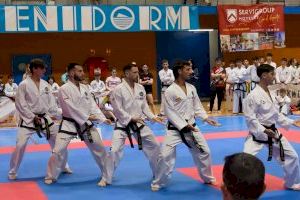 XVIII Copa Costa Blanca Benidorm de Taekwondo en el Palau d’Esports - (foto 3)