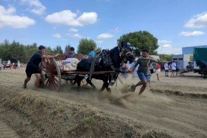 Imagen de archivo Imagen de archivo