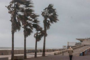 La “escoba del cielo” limpiará de polvo la Comunitat Valenciana este lunes: consulta los avisos por lluvias y viento
