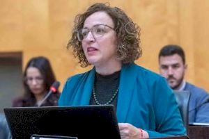 El pleno aprueba iniciar los trámites del nuevo contrato de la ORA y del Benidorm Open Arena - (foto 2)