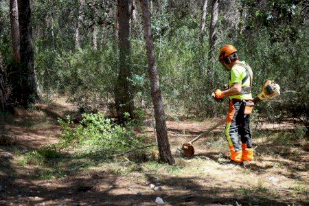Torrent adjudica el contrato de mantenimiento forestal para reforzar la prevención de incendios y la conservación del entorno natural