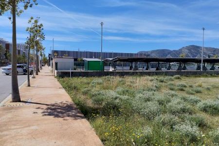 Compromís per Orpesa lamenta la falta de avances en el tercer colegio Compromís per Orpesa lamenta la falta de avances en el tercer colegio