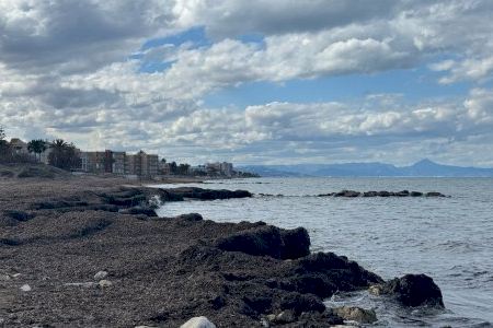 Una herramienta de IA premiada por la Cátedra ENIA-UPV mide y protege la Posidonia oceanica en las costas mediterráneas