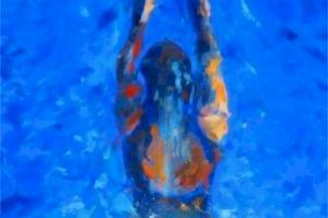 Gandia acoge este sábado la XVIII edición del Trofeo José María Ángel ‘Pitet’ de natación - (foto 2)