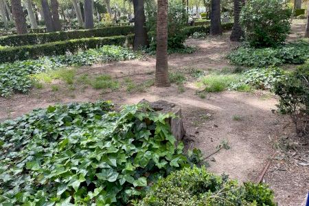 Compromís denuncia zones degradades i desenes d’arbres sense reposar al parc Ribalta