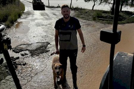 El trabajo de la Policía Local de Sueca es reconocido nuevamente a nivel estatal