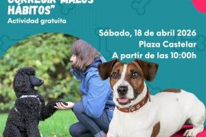 La Plaza Castelar de Elda será escenario el próximo sábado de una jornada gratuita sobre educación y comportamiento canino - (foto 2)