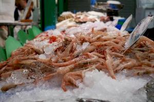 El Ayuntamiento de Crevillent organiza visitas guiadas de escolares al Mercado de Abastos para concienciar sobre una alimentación saludable - (foto 2)