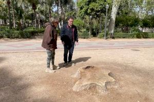 Compromís denuncia zones degradades i desenes d’arbres sense reposar al parc Ribalta - (foto 2)