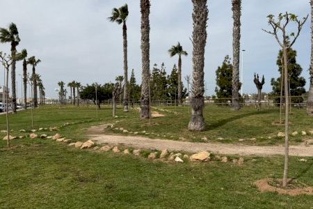 Parques y jardines de Torrevieja realiza nuevas plantaciones de árboles en la zona de el limonar y renueva el mobiliario urbano