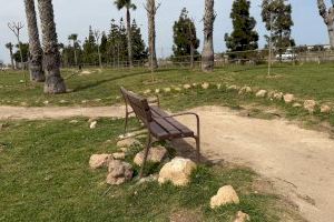 Parques y jardines de Torrevieja realiza nuevas plantaciones de árboles en la zona de el limonar y renueva el mobiliario urbano - (foto 3)
