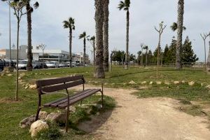 Parques y jardines de Torrevieja realiza nuevas plantaciones de árboles en la zona de el limonar y renueva el mobiliario urbano - (foto 5)