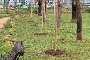 Parques y jardines de Torrevieja realiza nuevas plantaciones de árboles en la zona de el limonar y renueva el mobiliario urbano - (foto 6)