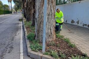 El Ayuntamiento de Sant Joan intensifica los trabajos de mantenimiento y jardinería de cara a la Romería de Santa Faz 2026 - (foto 2)