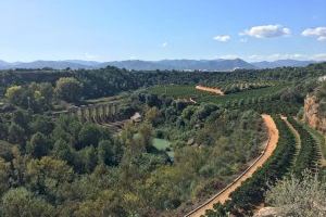 L’oratge a la Comunitat Valenciana demà: boires en la costa i canvis en les temperatures este dijous