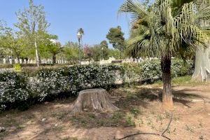 Compromís denuncia zones degradades i desenes d’arbres sense reposar al parc Ribalta - (foto 3)