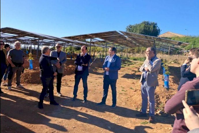 La Generalitat apuesta por la "agrovoltaica" para combinar la agricultura con las plantas de energía en la Comunitat Valenciana