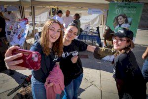 Torrent reúne a cerca de 40 centros en la quinta Fira de la Formació Professional para impulsar el talento y el empleo - (foto 6) Torrent reúne a cerca de 40 centros en la quinta Fira de la Formació Professional para impulsar el talento y el empleo - (foto 6)