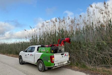 Elche intensifica las fumigaciones contra los mosquitos en todo el término municipal